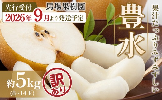 
                  【2026年先行予約／訳あり】【馬場果樹園】梨「豊水」約5kg（8～14玉入）順次発送
                