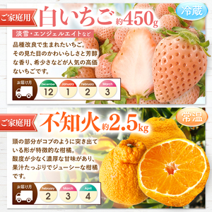 【 定期便 4回 】プチっと 堪能 ！家庭用 フルーツ定期便 ｜ （ いちご 白いちご みかん 不知火 デコポン スイカ ぶどう 梨 柿 果物 ）  定期便 定期 フルーツ 果物