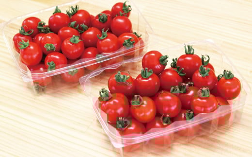 ミニトマトを1.2kg（600g×2パック）お届けします。
