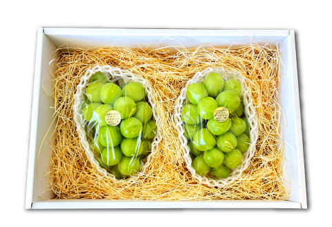 B-631 椋ぶどう園の大粒種なしシャインマスカット（600g程度×2房）