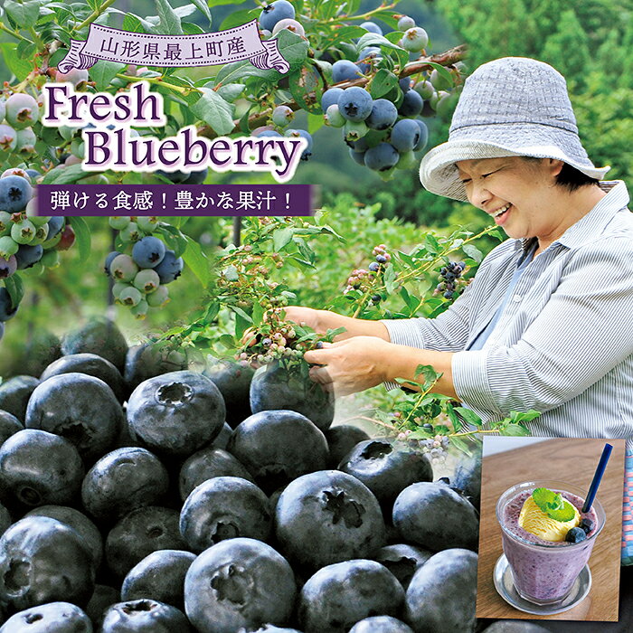 【ふるさと納税】【冷凍】最上町産ブルーベリー1kg ※発送は8月～3月になります。
