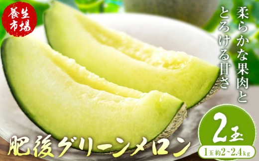 肥後グリーンメロン 約2-2.4kg×2玉【養生市場】 有限会社七城町特産品センター《2027年5月上旬-6月末頃出荷》熊本県 菊池市 メロン グリーンメロン 果物 フルーツ 熊本県産 送料無料