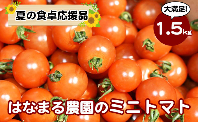 
            [№4631-2198]カラダに優しい「乳酸菌入り ミニトマト2kg」
          
