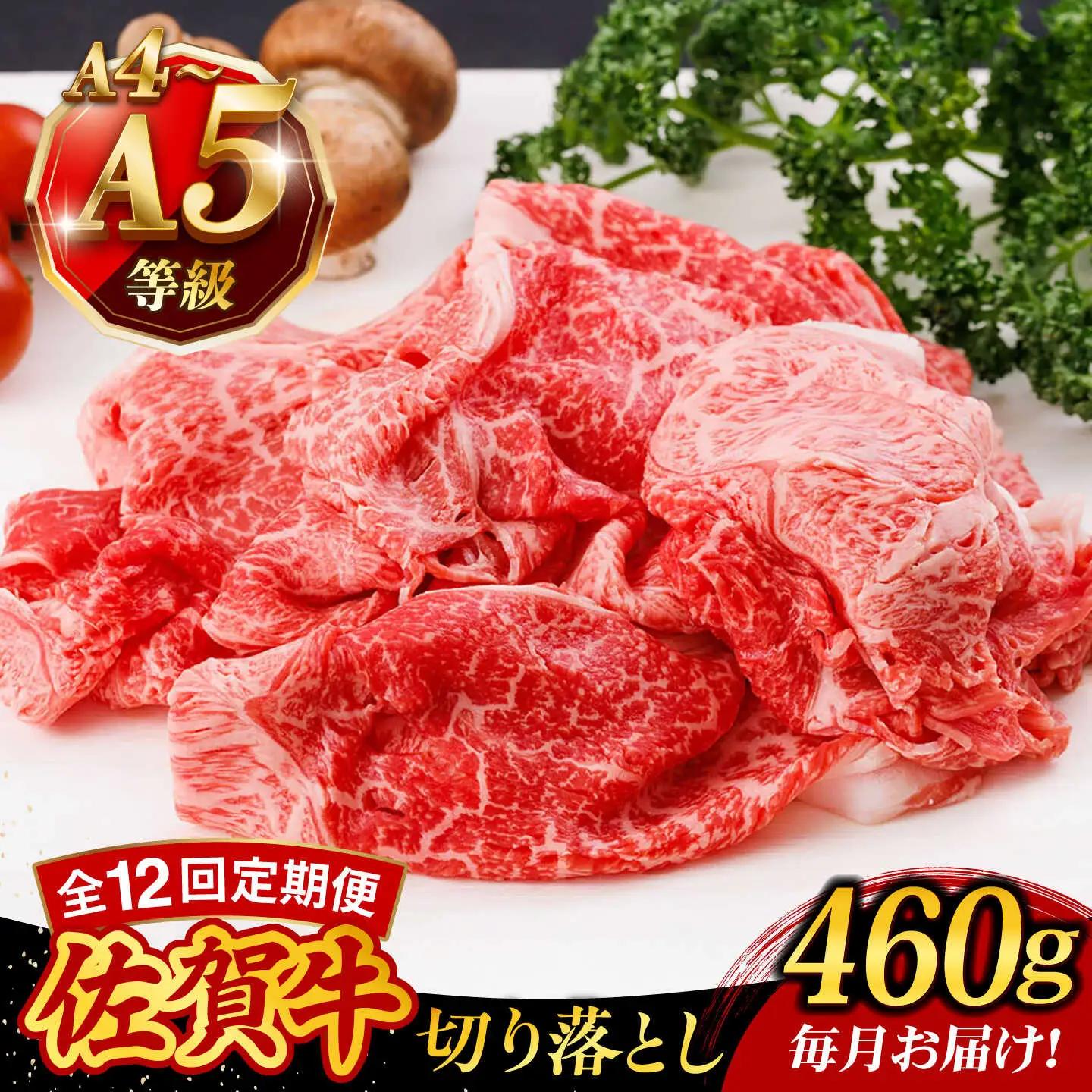 【12回定期便】 佐賀牛 牛肉切り落とし 460g 牛 [UCC026]