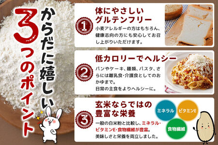 玄米からつくられた 米粉 秋田さらり玄米粉 500g レターパックライト