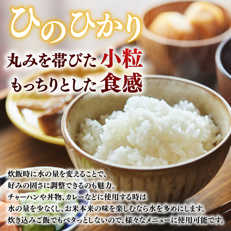 お米 白米 ヒノヒカリ 20kg×1回 毎月発送 令和7年産 定期便 定期 米 精米 産地直送 農家直送 おむすび おにぎり こめ お弁当 ご飯 ごはん ブランド米 奈良県 奈良市 なら 90-008