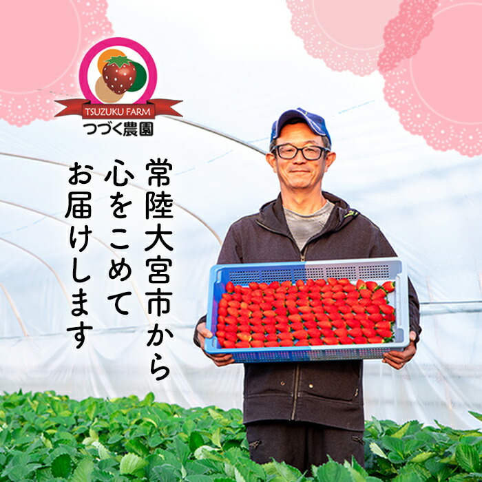 ＜先行予約受付中！2027年1月中旬以降順次発送予定＞ 大粒いちごセット 280g×2パック イチゴ 苺フルーツ 果物 くだもの デザート 期間限定 先行予約 【つづく農園】【ho1573】