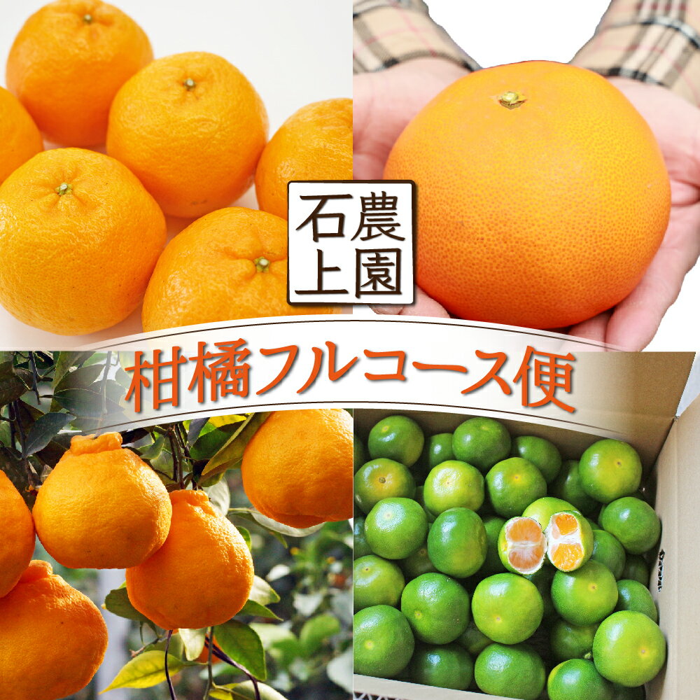 【ふるさと納税】＜先行予約受付中！2026年1月より発送予定＞【定期便・全4回】石上農園から自慢の柑橘フルコース便 蜜柑 ミカン みかん ポンカン ぽんかん せとか 不知火 ホタル グリーンハウスみかん【石上農園】【KU167】