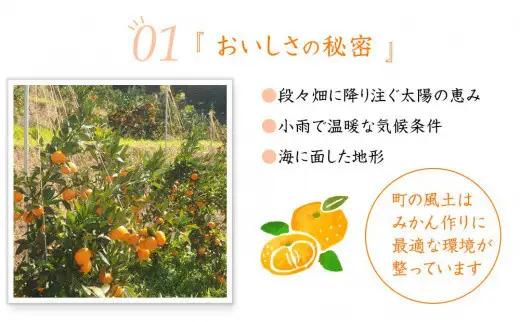 訳あり 早生みかん 2S・3S混合 6.5kg 和歌山みかん