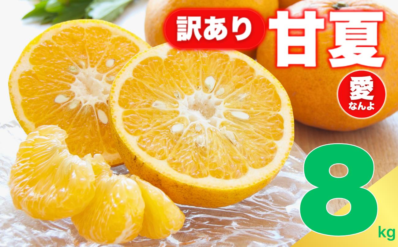 
            訳あり 甘夏 8㎏ サイズ ミックス 8000円 ご家庭用 送料無料 産地直送 農家直送 減農薬 栽培 フルーツ 果物 柑橘 あまなつ 旬の味覚 爽やか 香り 甘酸っぱい ほろ苦い 大人 の 味 マーマレード ジャム ピール ゼリー ジュース サラダ 人気 おすすめ 期間限定 愛媛県 愛南町 愛なんよ
          