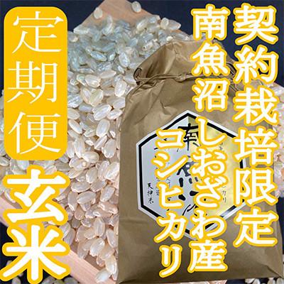 ふるさと納税 南魚沼市 【発送月固定定期便】※玄米10Kg※生産者限定　南魚沼しおざわ産コシヒカリ全3回 |  | 03
