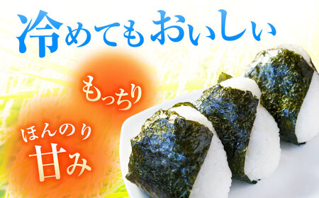 【 先行予約 /9月中旬以降発送】　【令和7年産】 福井県産 特別栽培米4 コシヒカリ 白米 10kg / 米 お米 精米 国産米 / 小浜市 / 北川博司[BFDG002]