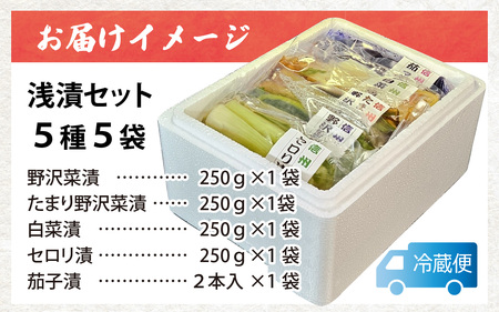 【漬物セット】浅漬セット 5種5袋