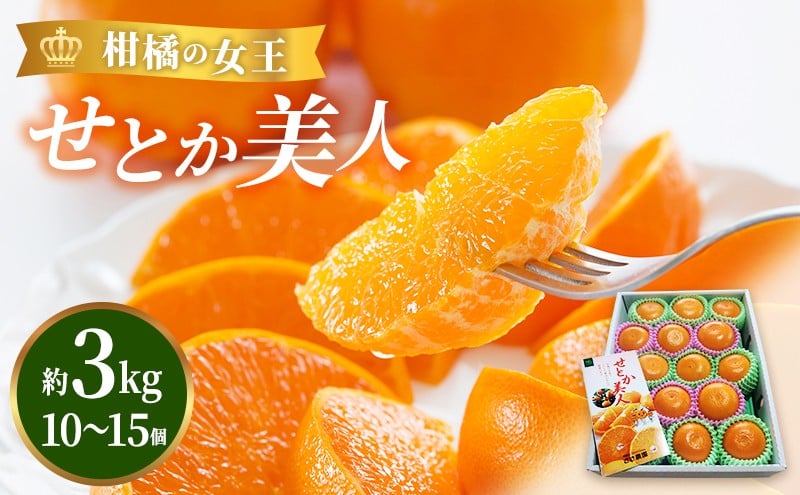 
            【2026年3月頃より順次発送】柑橘の女王『せとか美人』 果物類 みかん 柑橘類 [№5786-1876]
          
