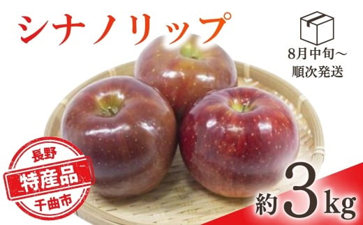 【2026年先行予約】りんご シナノリップ(長野県オリジナル品種) 約3kg | りんご 林檎 リンゴ 信州りんご 長野県 千曲市