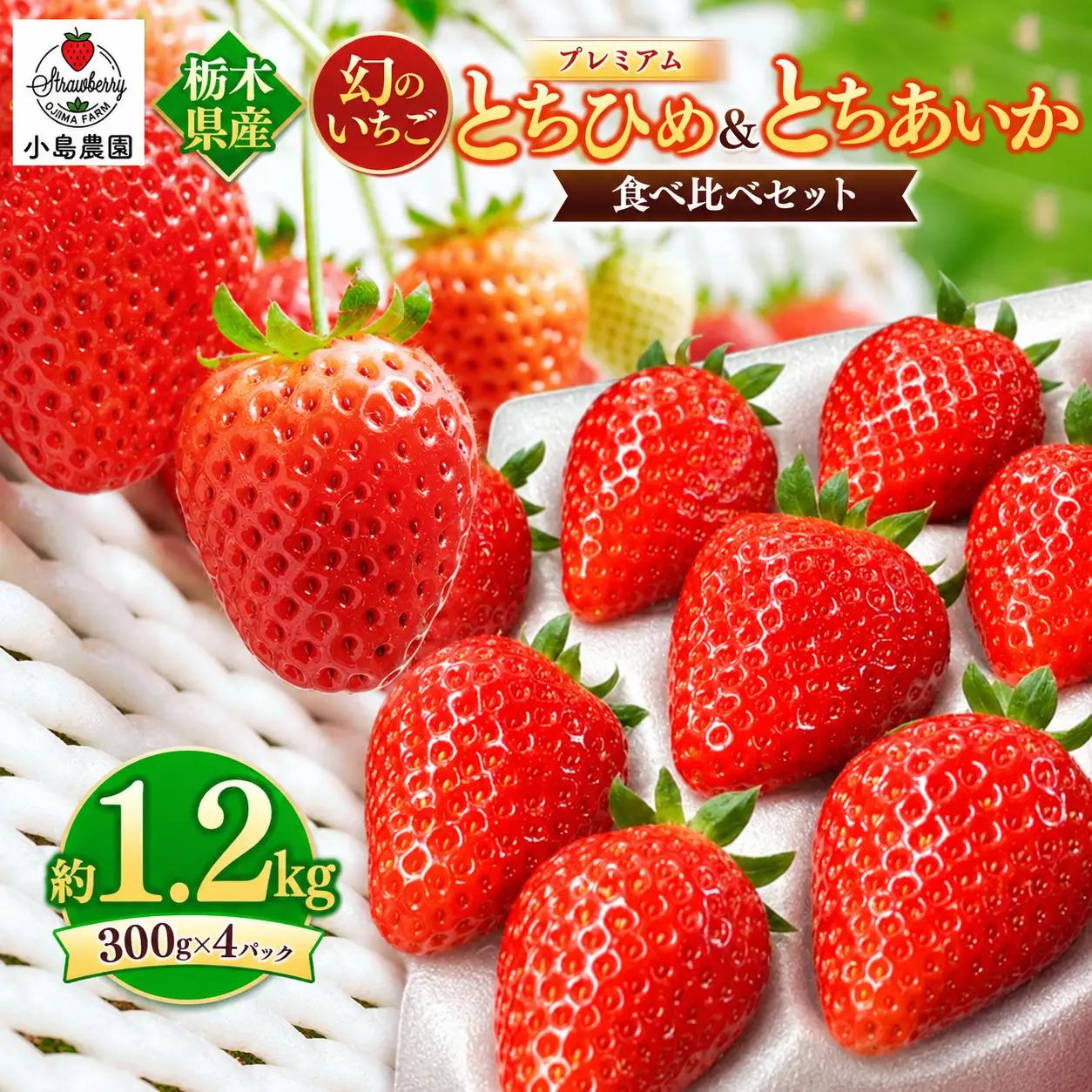 【2027年先行予約】とちひめ とちあいか 食べ比べ プレミアム 幻のいちご 約1.2kg
