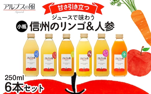 
										
										ジュースで味わう 信州のリンゴ＆人参 ジュース 小瓶 6本セット 250ml 6本 セット 詰め合わせ りんごジュース 林檎ジュース ミックスジュース 信州りんご 信州りんごジュース りんご100 100％ジュース 果汁飲料 飲料 飲み物 長野 長野県 箕輪町
									