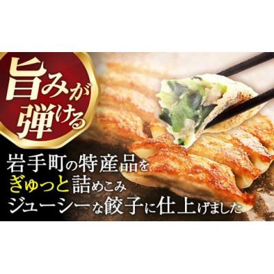 ふるさと納税 岩手町 【キャベツの町】野菜たっぷり!しんいちろう餃子(12個入×4箱) |  | 03
