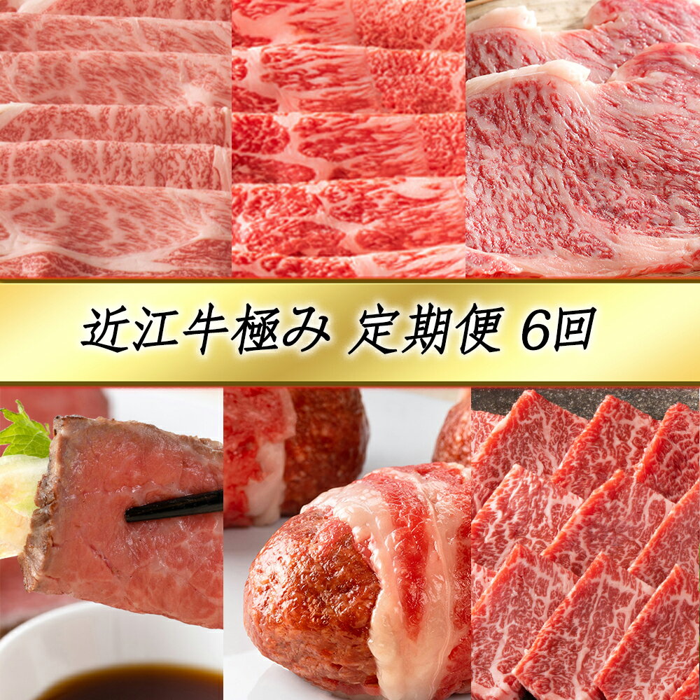 【ふるさと納税】【定期便6回】カネ吉山本 近江牛極み定期便-禄- 特選すき焼き肩ロース・リブロース / 上赤身しゃぶしゃぶモモ・ウデ / 近江牛（吟）ステーキ用サーロイン / 近江牛和風ローストビーフ / 近江牛包みハンバーグ / 特選焼肉バラ・モモ 牛肉 国産 冷凍