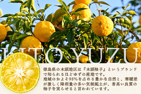 木頭柚子 ゆず湯 1袋 (25g×15個入り) 【徳島県 那賀町 入浴剤 15回分 徳用 木頭柚子 木頭ゆず きとう柚子 ゆず ユズ 柚子 お風呂 風呂 ふろ 浴室 柑橘 柑橘系 バスタイム 無香料 