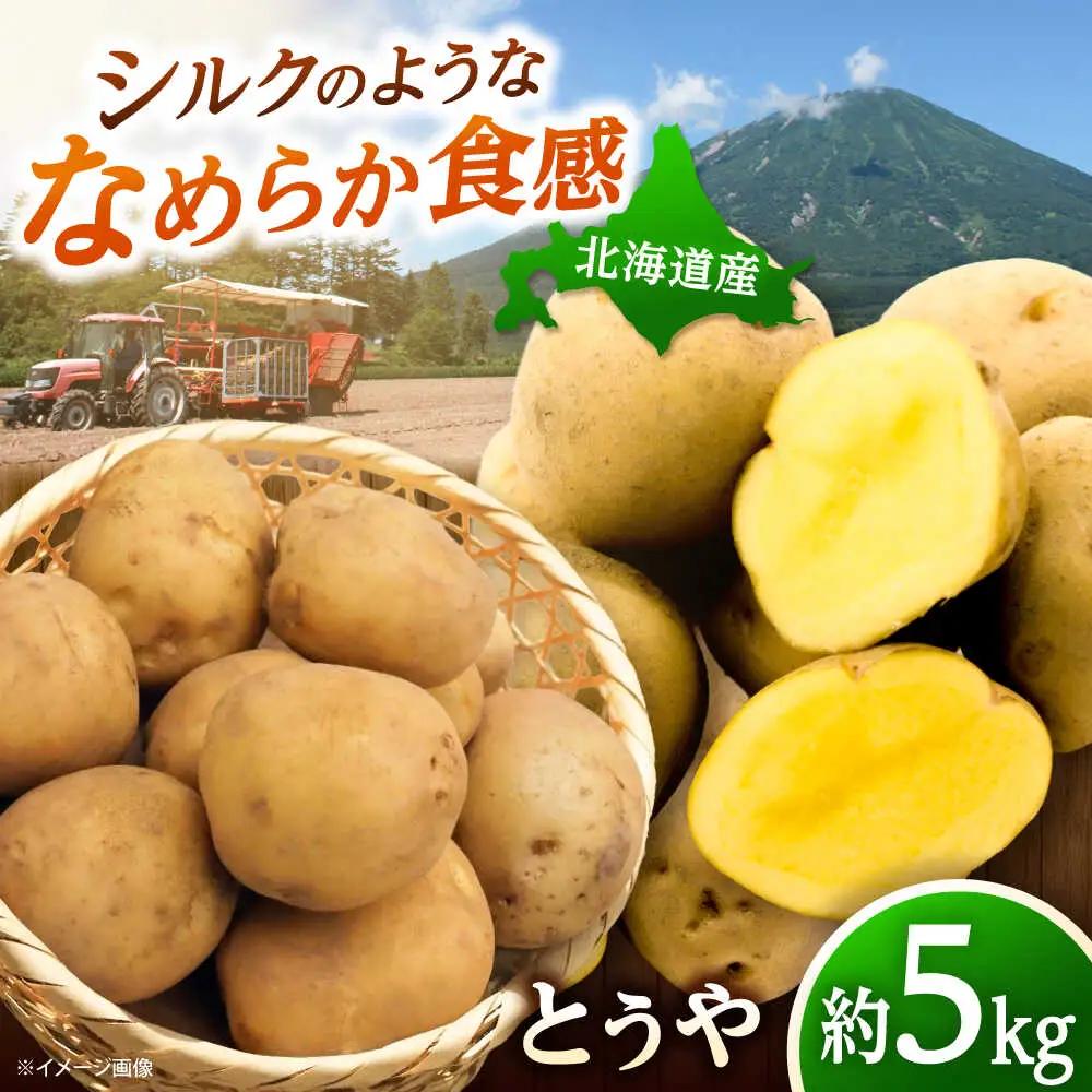 【先行予約】じゃがいも とうや 5kg [BPAM017] じゃがいも 北海道
