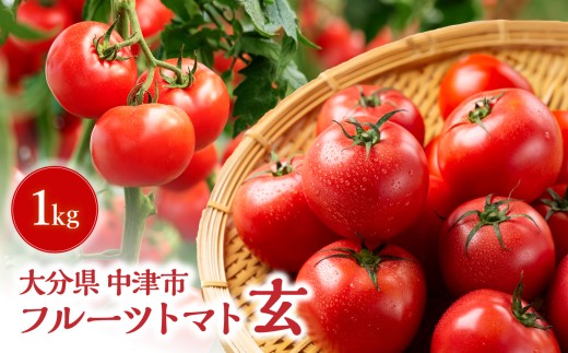 【期間限定】フルーツトマト 玄 1kg×1箱 | ミニトマト ぷちとまと ミニトマト プチトマト 国産 ミニトマト 大分県中津産 九州野菜 大分県 中津市