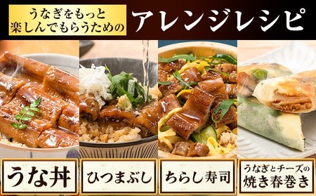 【最短3日発送】 うなぎ 蒲焼き 175g×1尾｜鰻