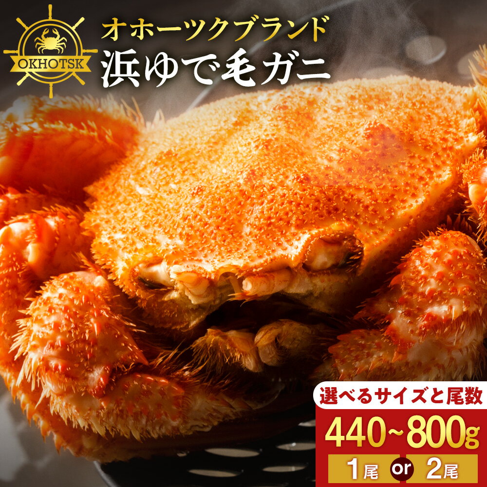 【ふるさと納税】☆12月〜3月発送☆選べる発送時期【楽天限定】 ☆北海道産 毛ガニ 選べる約440g〜800g 1尾・2尾セット 計440g〜1.6kg かに カニ 蟹 毛蟹 冷凍 北海道産 浜頓別町北海道ふるさと納税 ふるさと納税 北海道 浜頓別