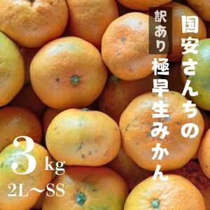 【創業85年 親子4代 愛媛みかん 一筋】愛媛八幡浜産 訳あり 極早生みかん 3kg【A20-45】【1594912】