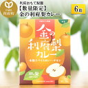 【ふるさと納税】【数量限定】金の利府梨カレー(中辛) 200g×6箱セット「宮城県利府町産の梨を使用」