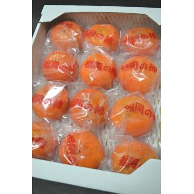 ふるさと納税 朝倉市 フルーツの里の直売所より　冷蔵富有柿10〜16玉(12月下旬より順次発送) |  | 01