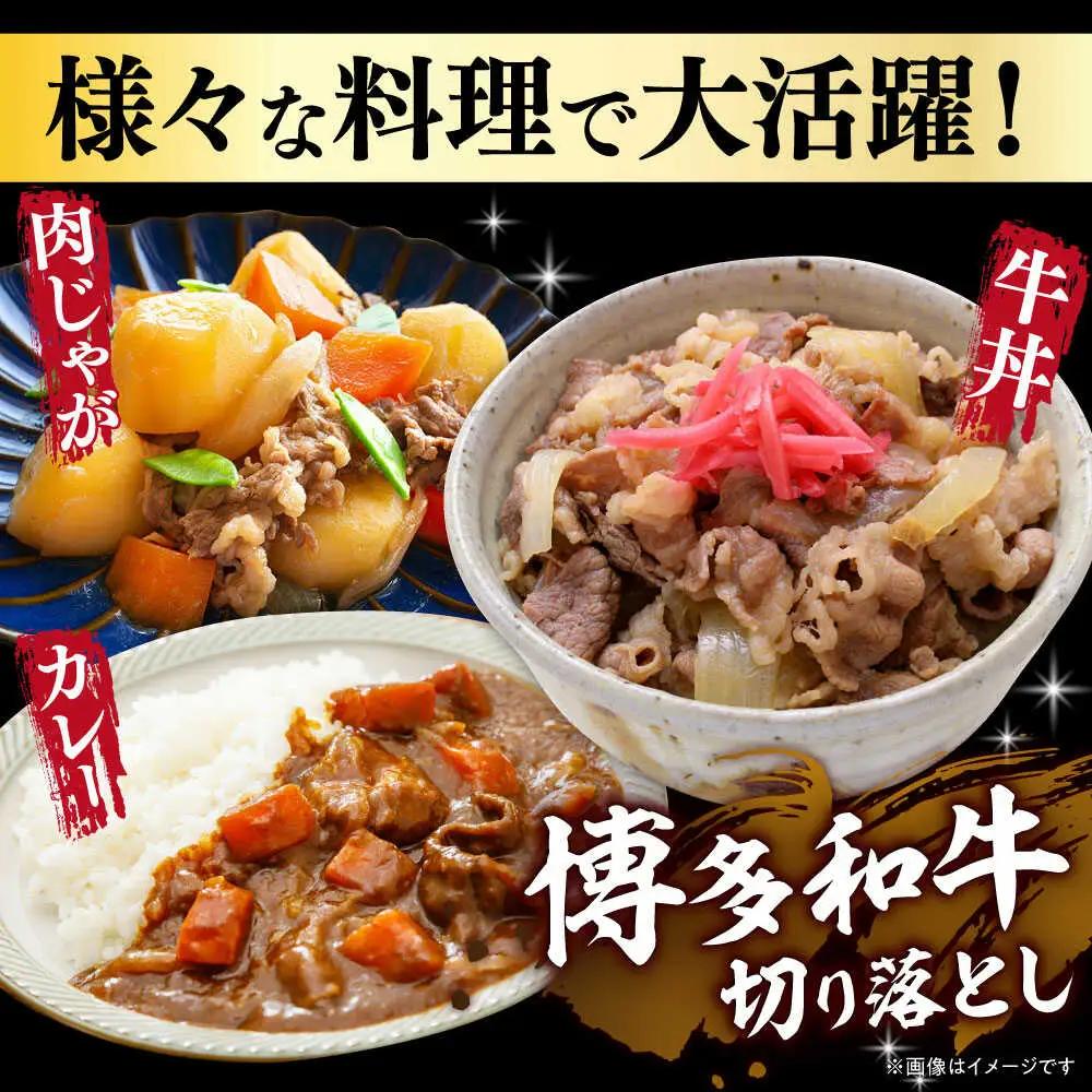 切り落し 【全12回定期便】 国産和牛 1kg [ABBP029] 切り落し
