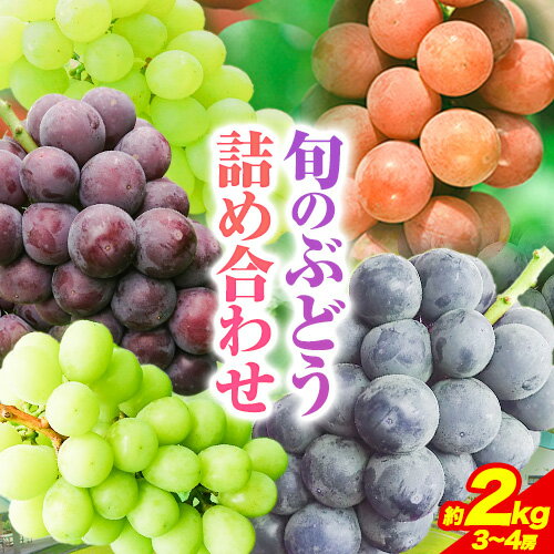 【ふるさと納税】 【先行予約】 産地直送 旬の ぶどう 詰め合わせセット 1箱 約2kg 3〜4房 水車の里フルーツトピア 期間限定 岡山県 矢掛町 葡萄 果物 スイーツ フルーツ デザート《9月上旬-9月末頃出荷》