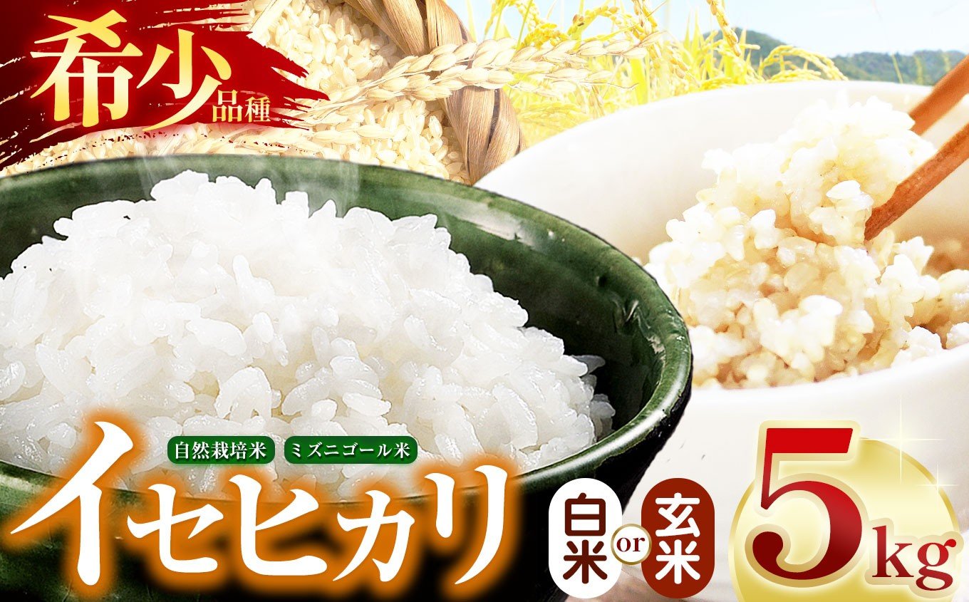
                  【令和7年産】選べる！自然栽培 イセヒカリ 5kg ≪白米 or 玄米≫ 長野県産 | 米 イセヒカリ 希少 自然栽培 白米 玄米 コメ お米 おこめ 信州米 5kg 肥料不使用 天日干し 塩尻市 長野県 信州
                