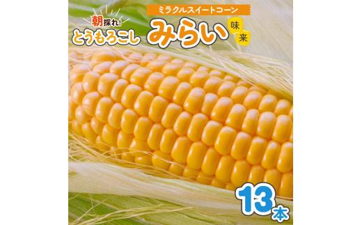 朝採れとうもろこし みらい (味来) 13本入｜トウモロコシ スイートコーン 野菜 [0387ch]