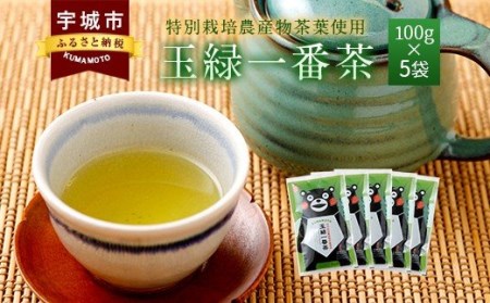 緑茶 お茶 茶葉 100g×5袋セット くまモン 玉緑一番茶 100g×5袋セット