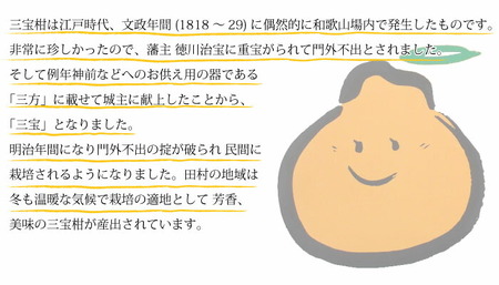 田村の三宝柑（葉付き）秀品 約10kg 和歌山県有田産_U6237n