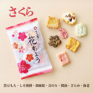 おかき 10袋 セット 詰め合わせ Mサイズ  煎餅 せんべい あられ お菓子 米菓 米 食べきり 小袋 贈答 箱 プレゼント花もよう 米 煎餅 米菓 和 新潟 新潟県 新発田市 新発田 さくら製菓 