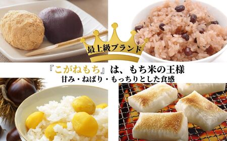 新潟県産 もち米『こがねもち』4.5kg(3升)令和5年産 つやつやモチモチ もち米ならではの芳醇な香り 清耕園ファーム お正月 餅 赤飯 おこわ