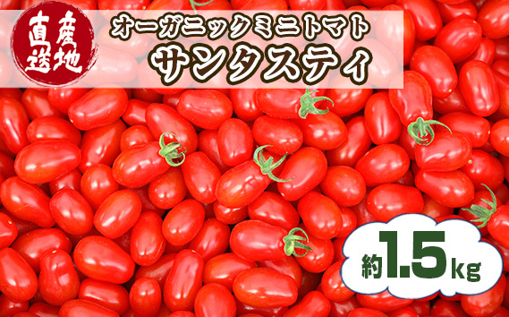 
No.192 オーガニックミニトマト（サンタスティ）約1.5kg ／ とまと 野菜 高糖度 スナックタイプ 愛知県 特産品
