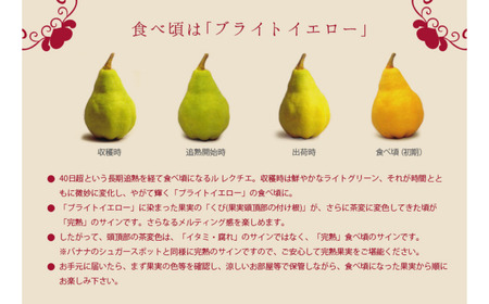 ル レクチエ 3kg（6～11個） 令和7年度 洋梨 新潟県産 ル・レクチェ 洋梨の貴婦人 [JAえちご中越]【015S021】