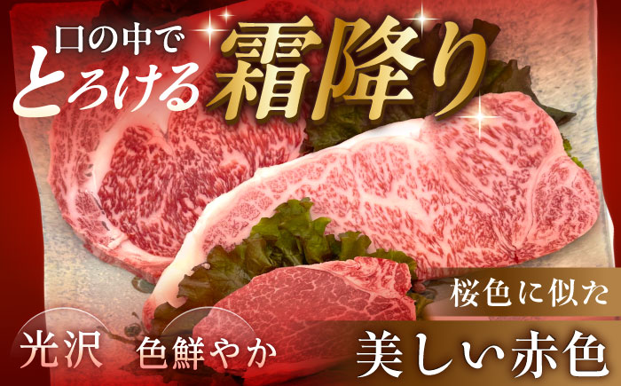 【チルド（冷蔵）発送！】「飛騨牛」 A5等級 ステーキ用3種盛り！ ヒレ・サーロイン・リブロース / 牛肉 焼肉 鉄板焼き 網焼き BBQ/ 恵那市 / 東美濃農業協同組合 [AUFX024]