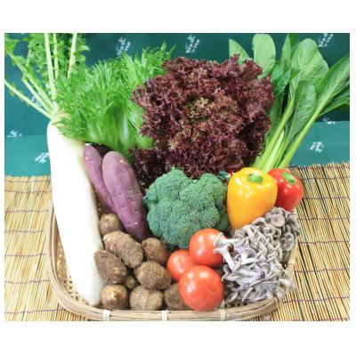 ふるさと納税 芝山町 旬野菜の詰め合わせ　「大地の恵みセット」　10種以上 |  | 01