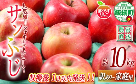 【 フレッシュ便 / 採れたて発送 】 りんご 葉とらず サンふじ 家庭用  〜 訳あり 10kg フレッシュフルーツミカズキ 2026年11月中旬頃から2026年11月下旬頃まで順次発送予定 令和8年度収穫分 傷 不揃い リンゴ 林檎 果物 フルーツ 信州 長野 予約 農家直送 長野県 飯綱町 [1675]