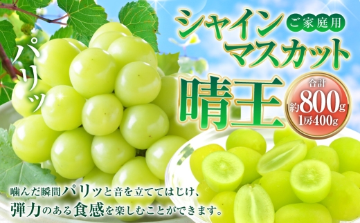 ご家庭用 シャインマスカット 晴王 約400g×2房 計約800g 【2026年8月下旬～11月下旬迄発送】 岡山 種無し 種なし マスカット 果物 くだもの フルーツ ぶどう ブドウ 葡萄 冷蔵