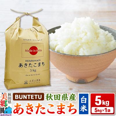 ふるさと納税 美郷町 あきたこまち 精米 5kg(5kg×1)|01_btt-020501