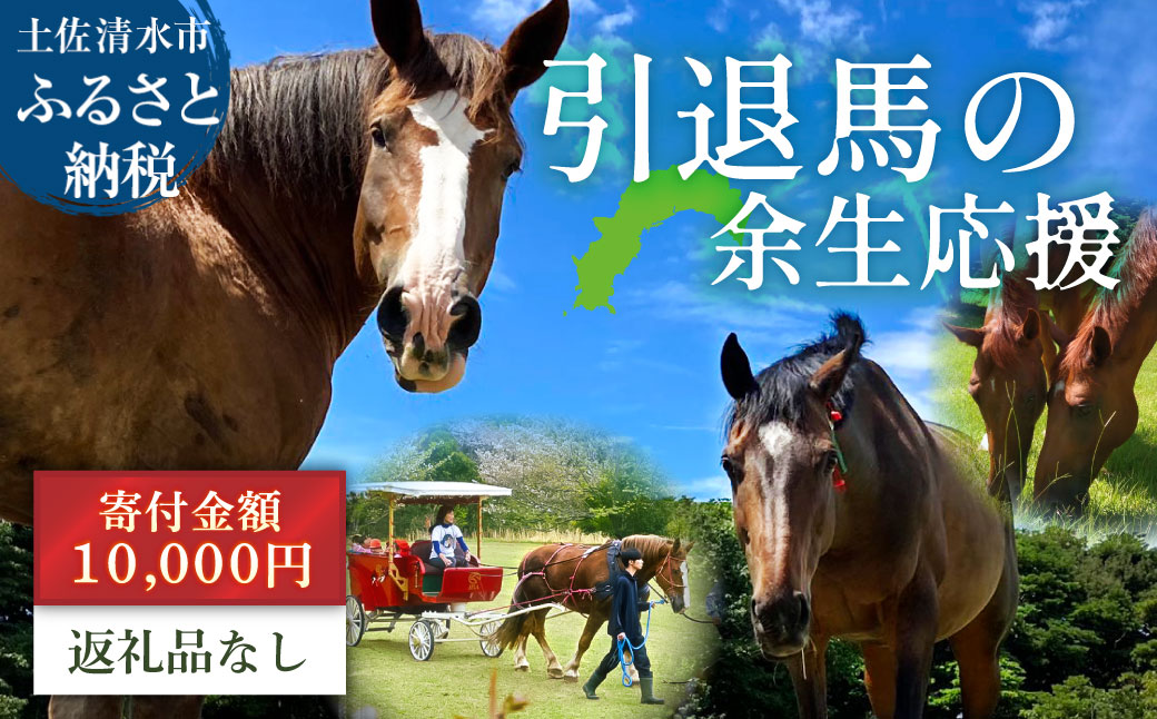引退馬 余生支援 10,000円コース 返礼品なし 養老馬 競走馬 引退競走馬 馬支援 競馬 馬 うま ウマ 馬支援 動物 あしずりダディー牧場 高知県 土佐清水市【R01530】