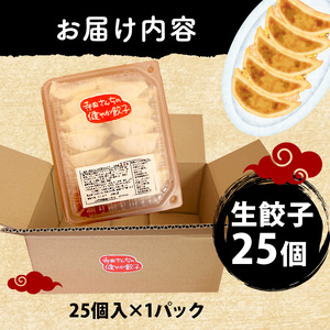 【 メディア出演多数 】 やさしい 生 餃子 25個 餃子