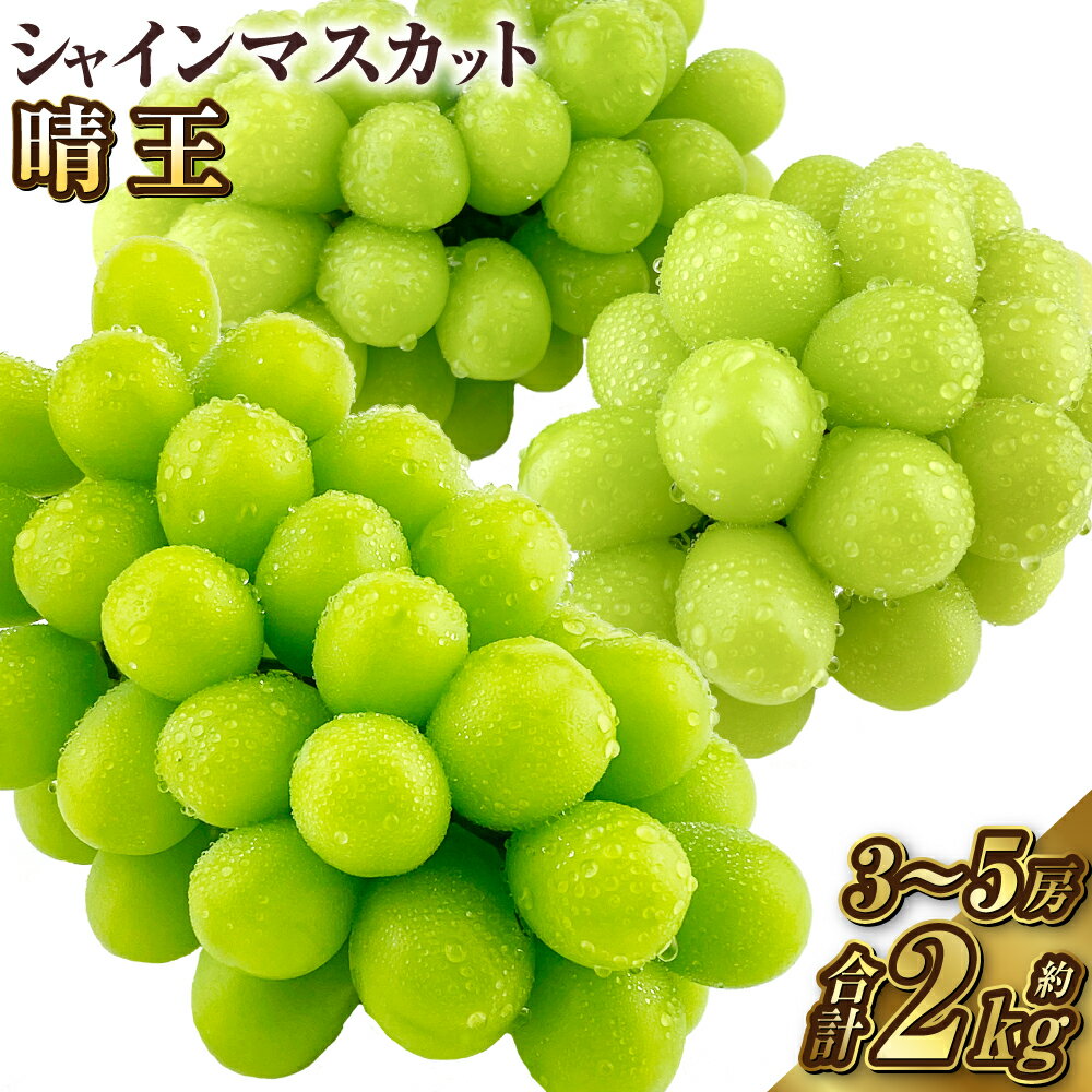 【ふるさと納税】2025年 先行予約受付中 シャインマスカット晴王 約2kg（3～5房）岡山県産 種無し 皮ごと食べる みずみずしい 甘い フレッシュ 瀬戸内 晴れの国 おかやま 果物大国 ハレノフルーツ【2025年9月上旬-10月下旬 発送予定】