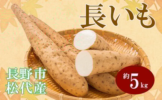 
            J0963 長野市ながいも 5kg (2025年11月下旬頃出荷分）高野農園
          